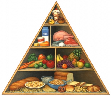 LA DIETA