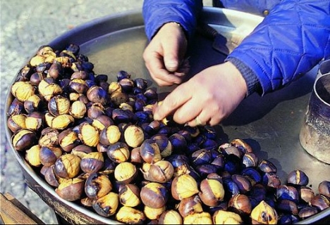 LE CASTAGNE